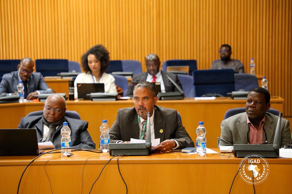 IGAD Peace and Security Division tweet media