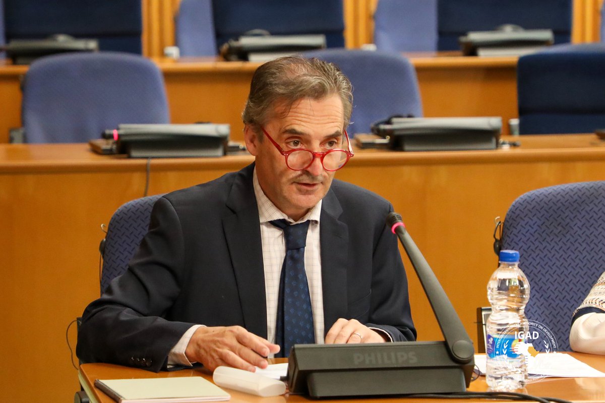 IGAD Peace and Security Division tweet media