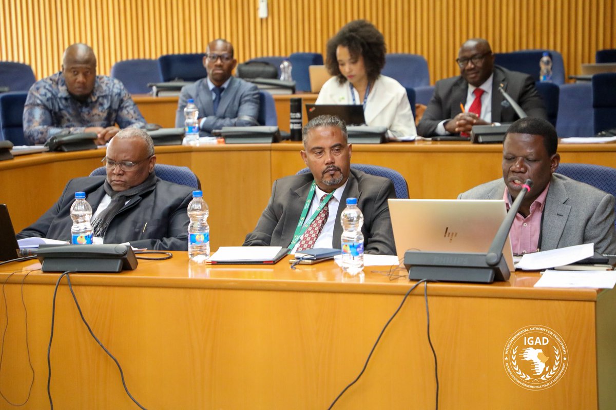 IGAD Peace and Security Division tweet media