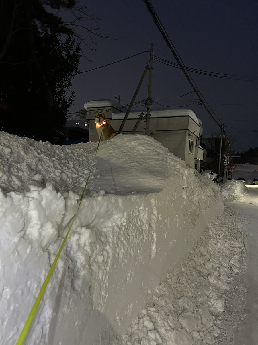 pinoko04680170's tweet image. そこで帰宅拒否されても困ります😇