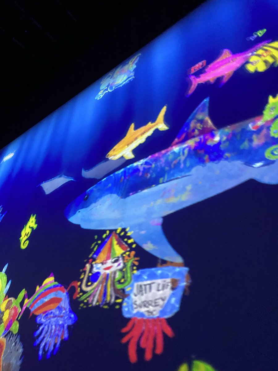 daimon616's tweet photo. #teamlabo
柴サメ🦈もふもふ 放流してきたよ！ https://t.co/BBHrnTWk2i