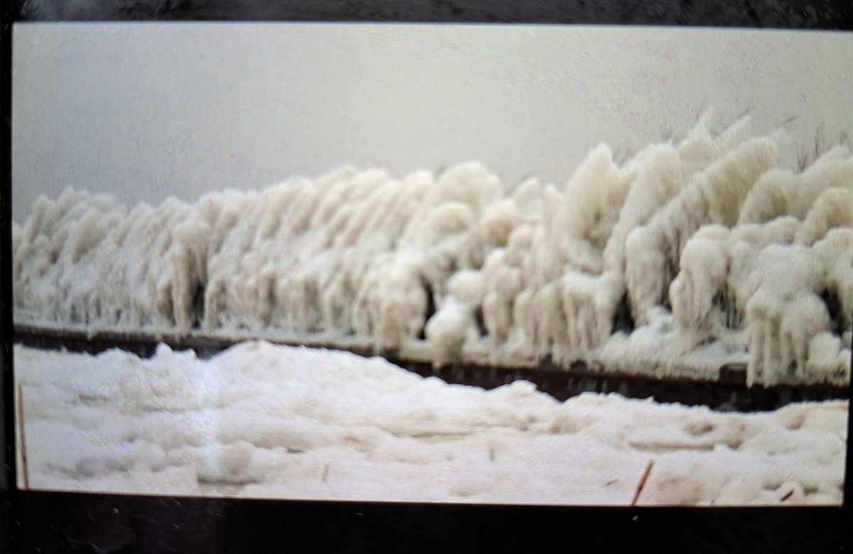 WAT EEN INTENSE BELEVING! Het is hier nu schitterend langs het Lauwersmeer en ook veel ijs op de Waddenzee gezien! Later een uitgebreid fotoverslag, maar man wat gaaf hier! Schitterend natuurgebied ook!