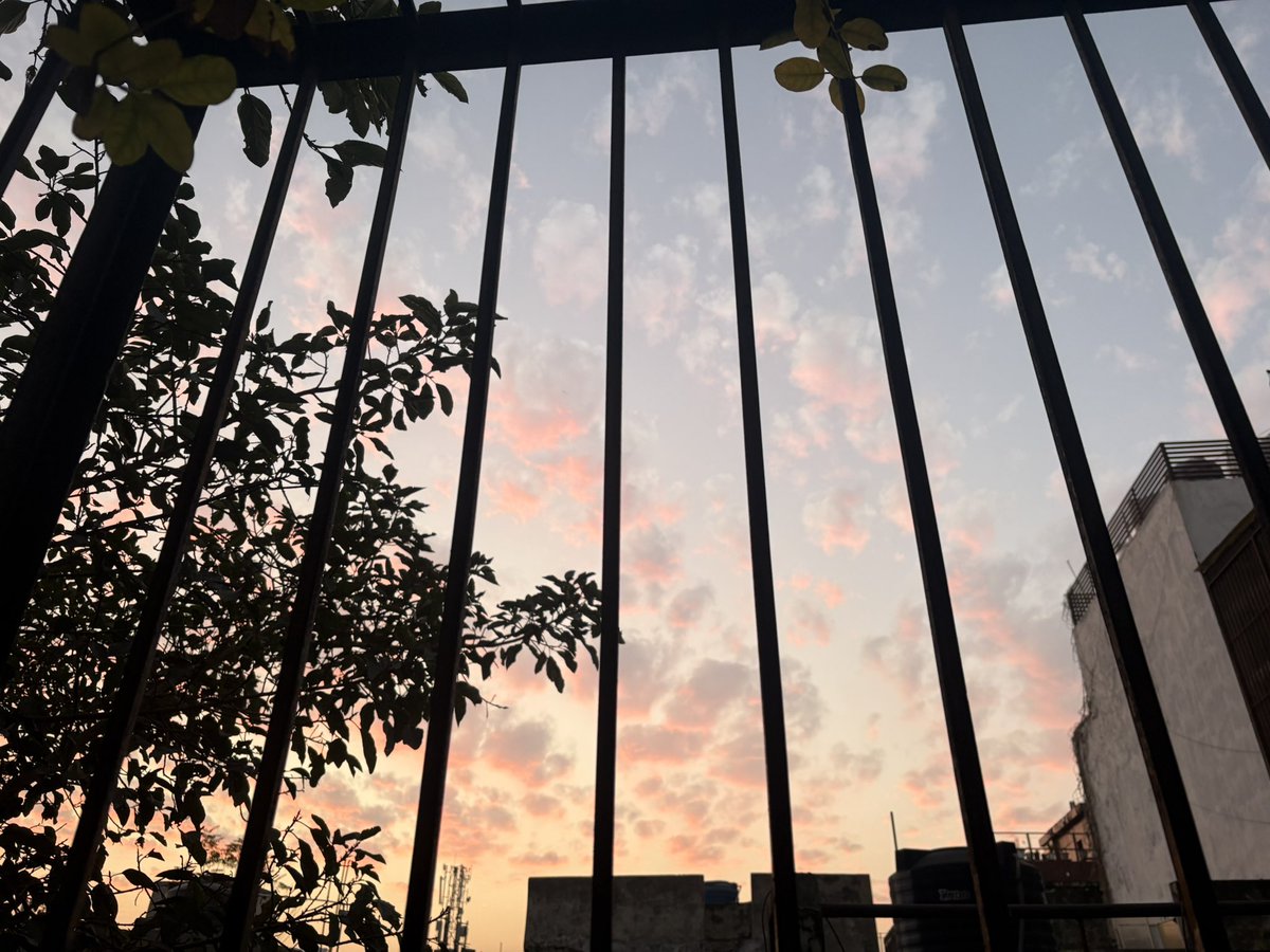 Lavendermist15's tweet image. #February skies are special…🩵 

#blueskies #delhiskies