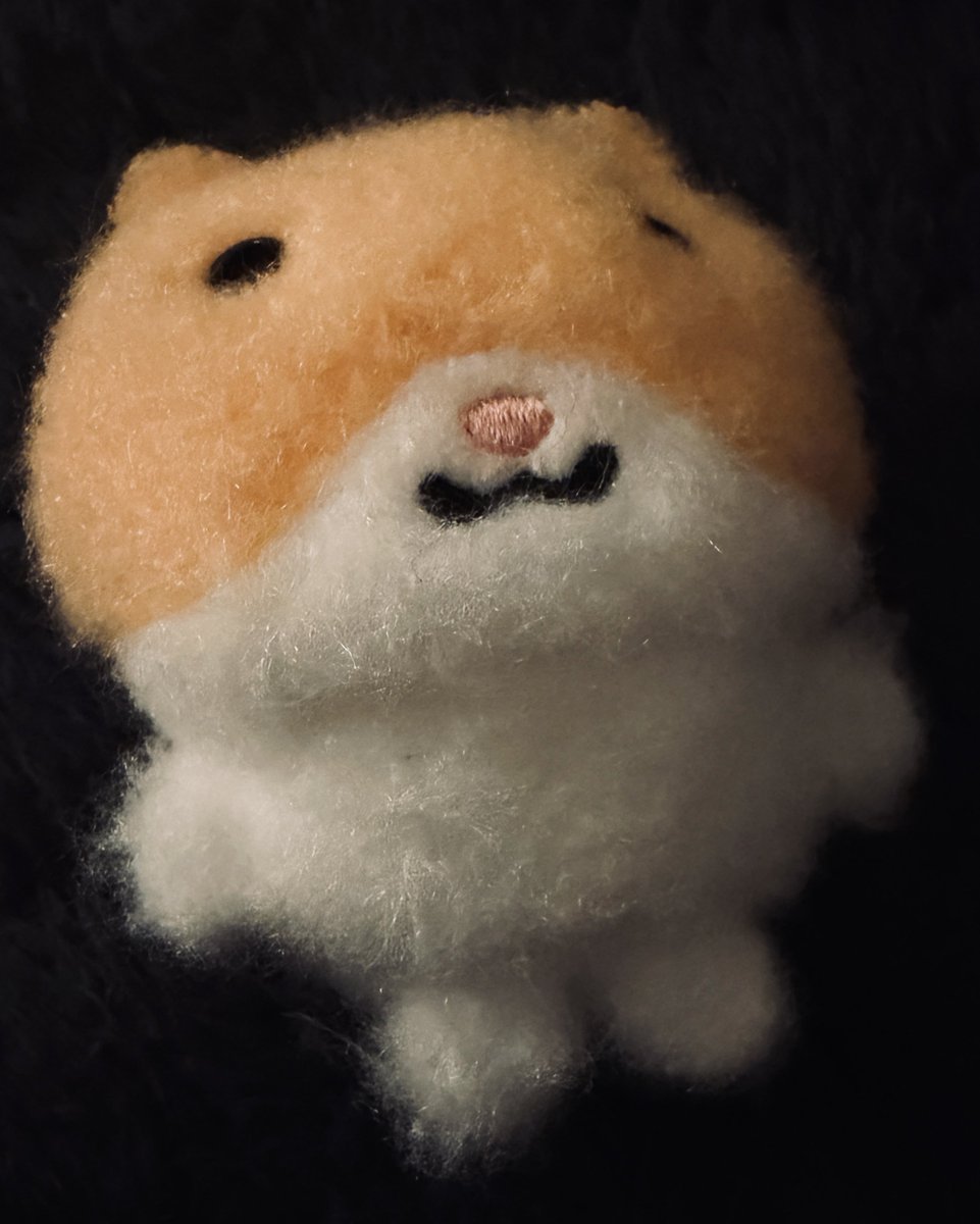 うちの子の
ぱや毛かわいすぎる😍