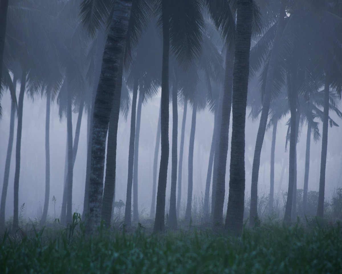 jveerendra's tweet photo. I took Photos of Andhra Pradesh. https://t.co/ooBml6IQRj