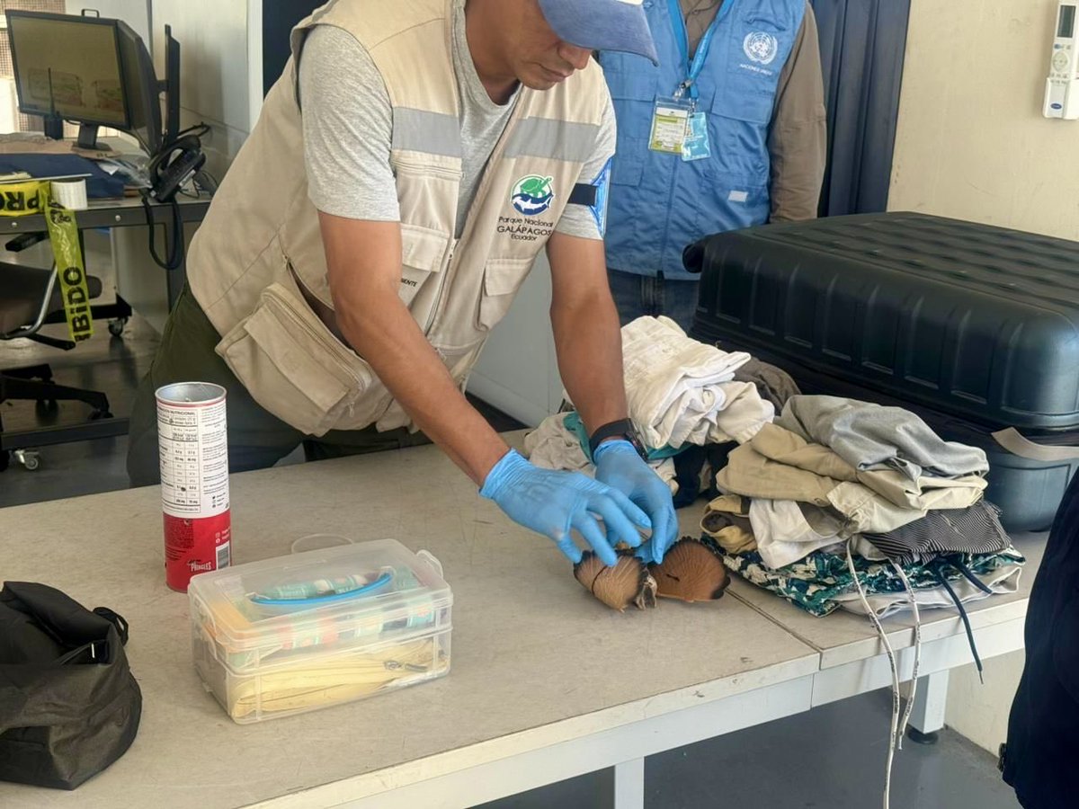 UN Office on Drugs & Crime tweet media