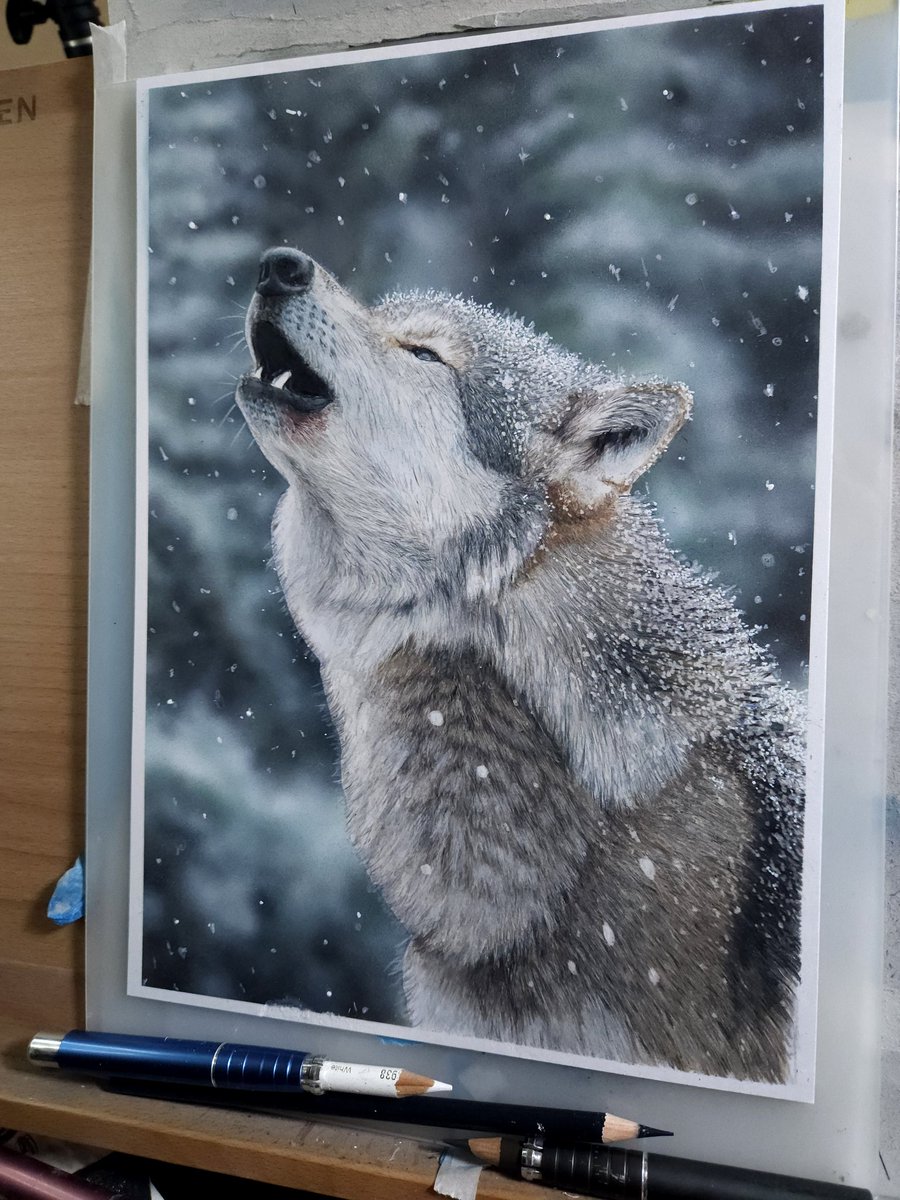 アップと引きとメイキングです🐺 作業は20時間くらいで、仕上げに