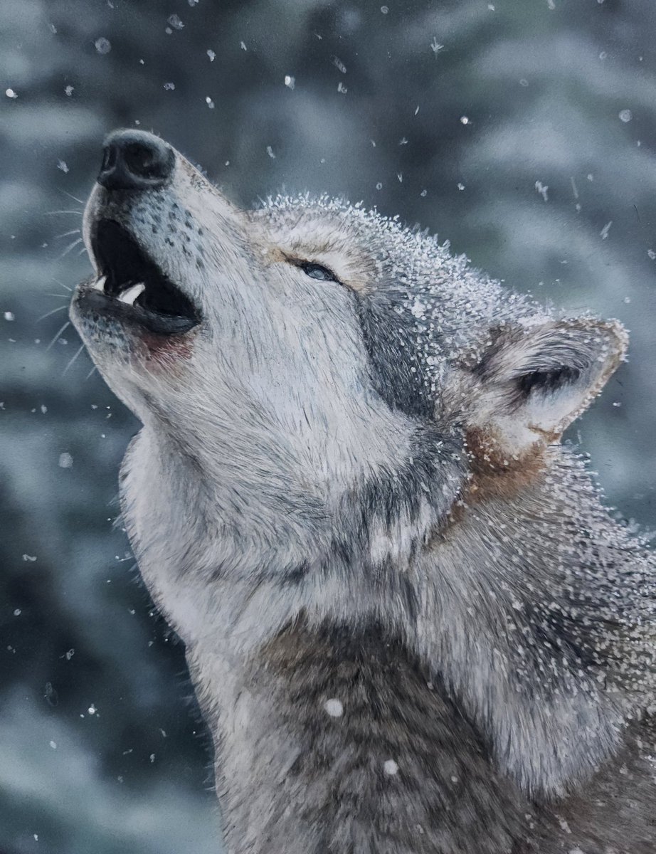 アップと引きとメイキングです🐺 作業は20時間くらいで、仕上げに