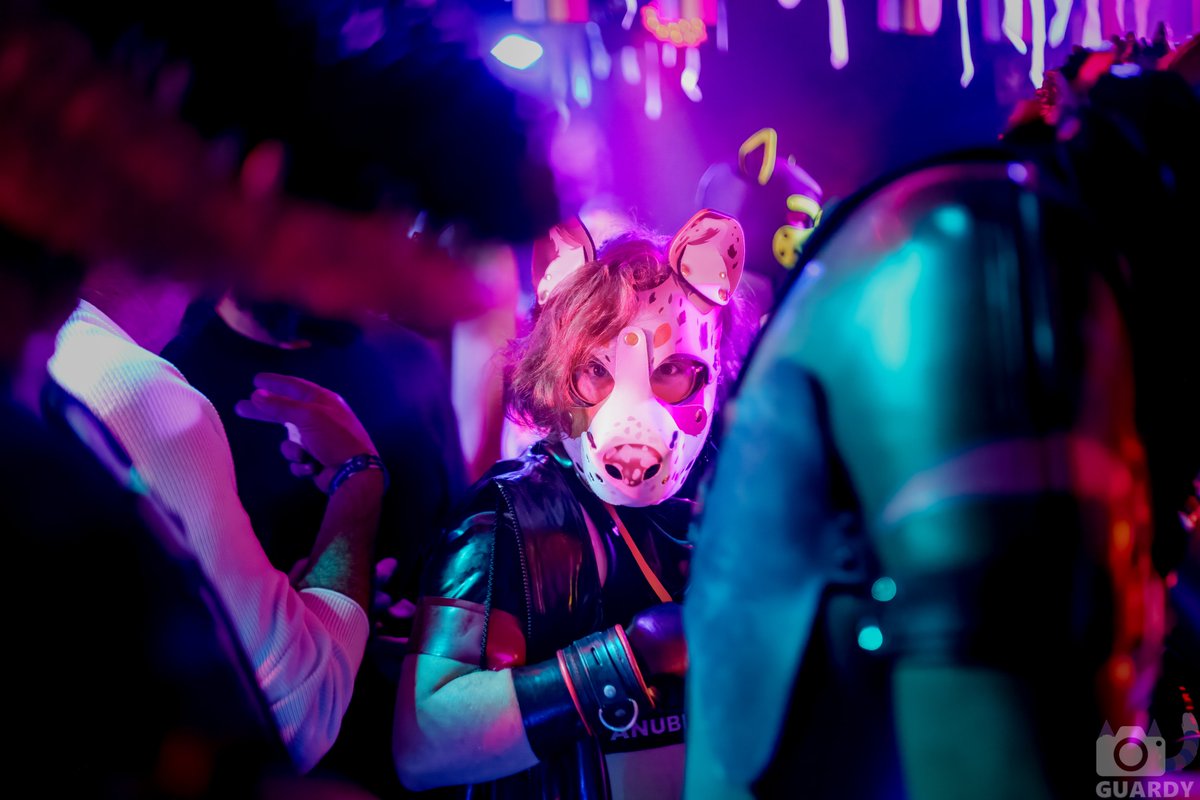 tinywag's tweet photo. caught you staring 👁️

📷 @GuardyFurry https://t.co/GpUq57wzzn