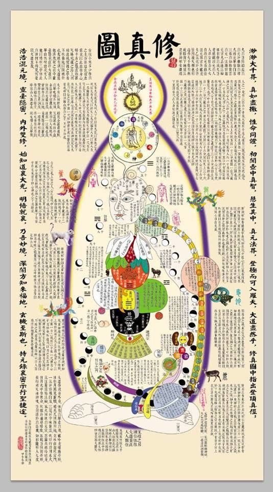 TaiChi Zhe tweet media