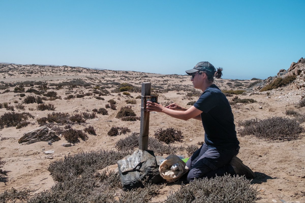 EU in Namibia tweet media