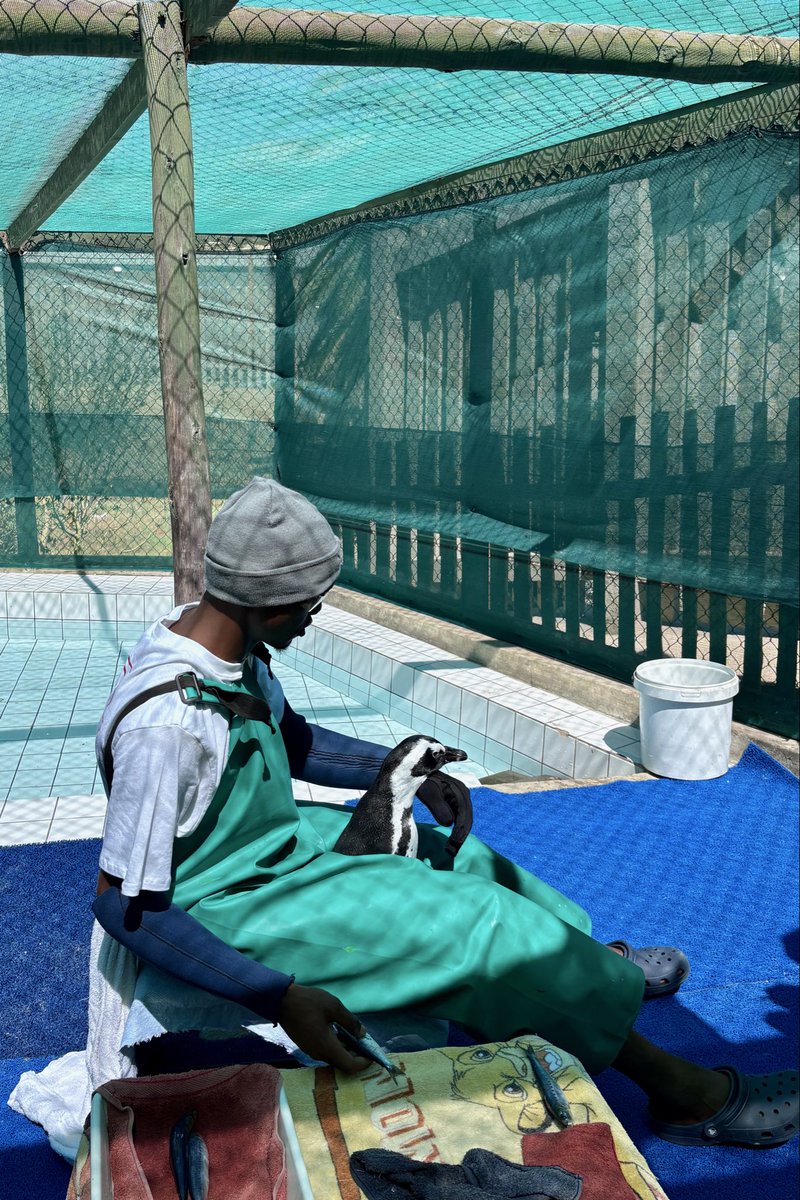 EU in Namibia tweet media