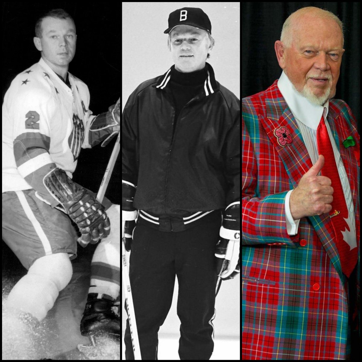 Hockey Fight History tweet media