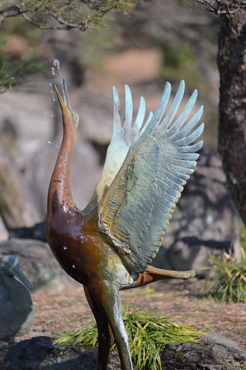 Post by しゅがーଳ on X: その上に止まる鳥