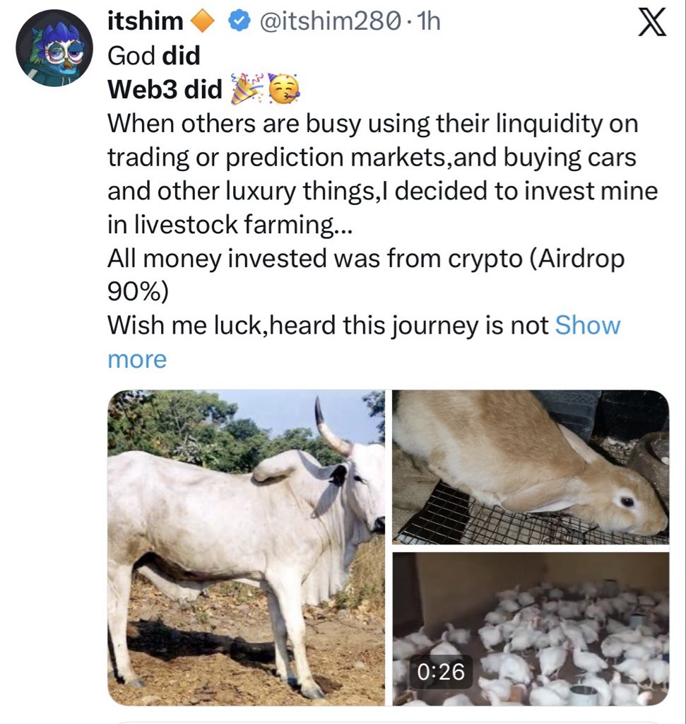 𝕯IA𝕯E𝔐 tweet media