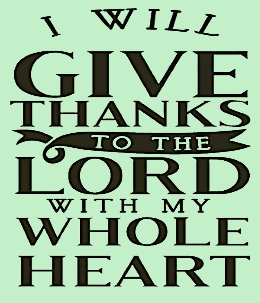 ArnieBragg's tweet image. 