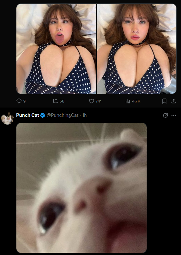 CanniTheOrc's tweet photo. @tallyberryy My twitter did a thing https://t.co/iCz4G4cLka