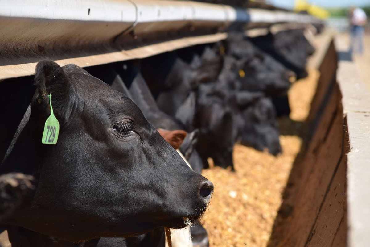 ISU ANR Extension tweet media