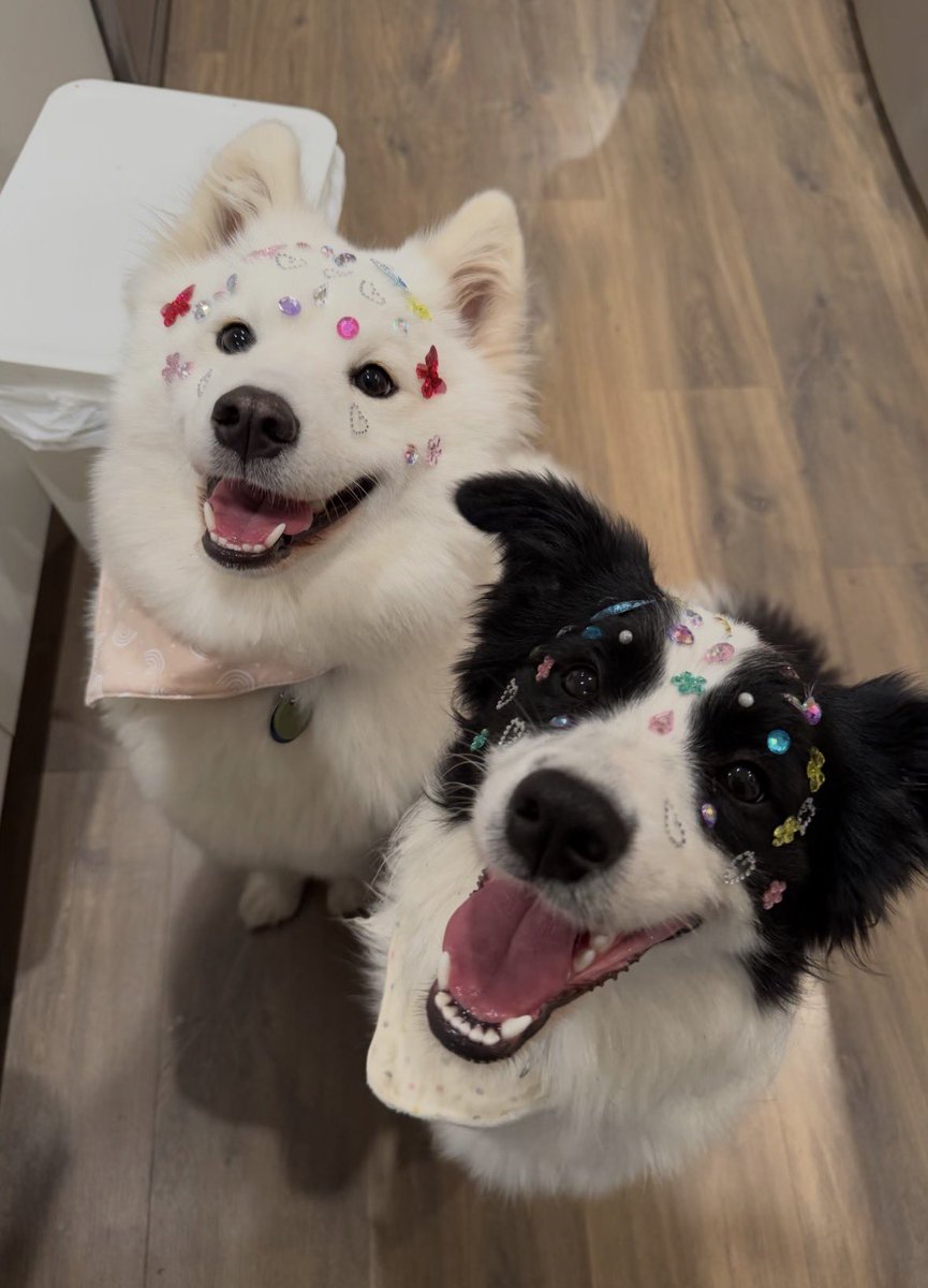 💖 (@twaniimals) on Twitter photo 