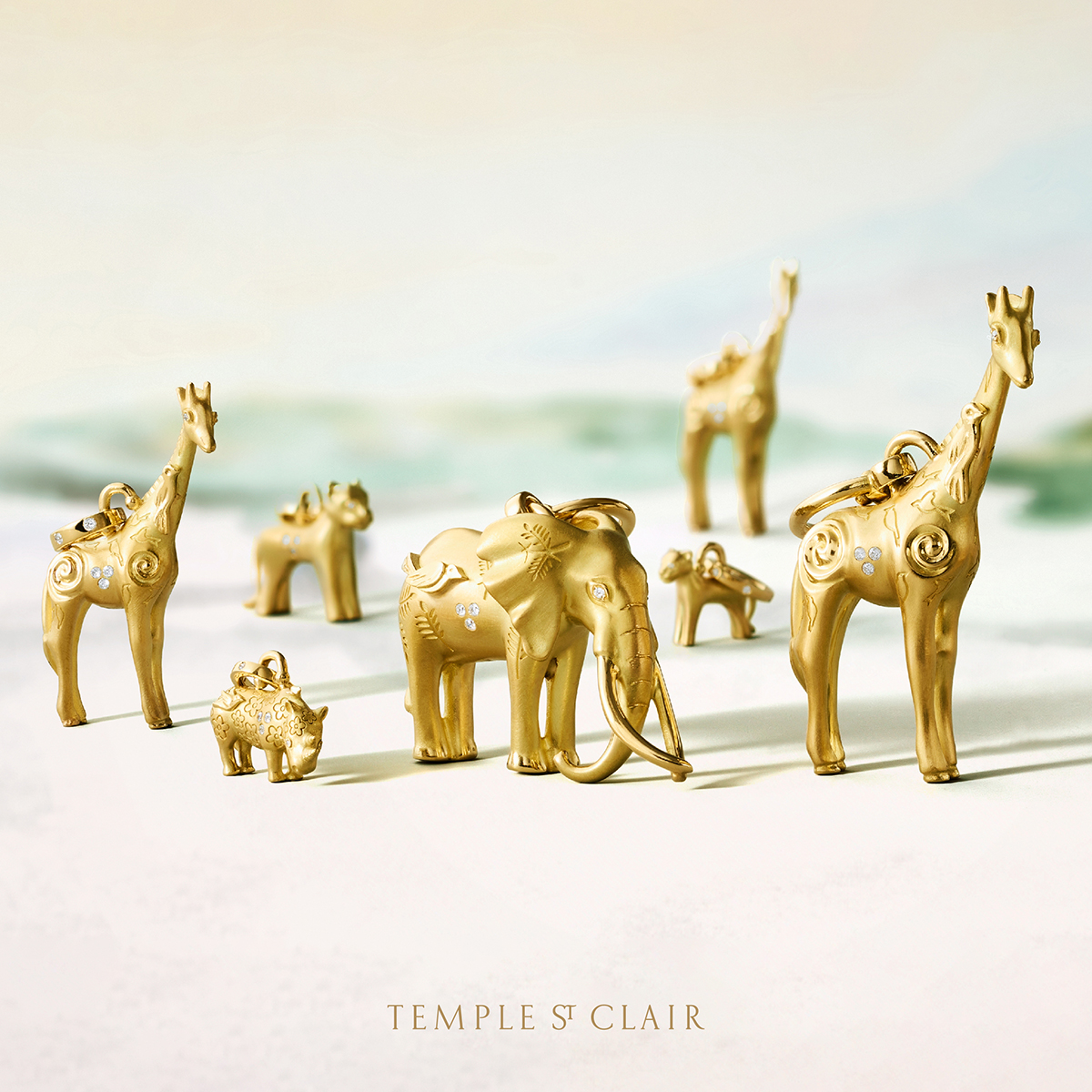 Big Life Foundation tweet media