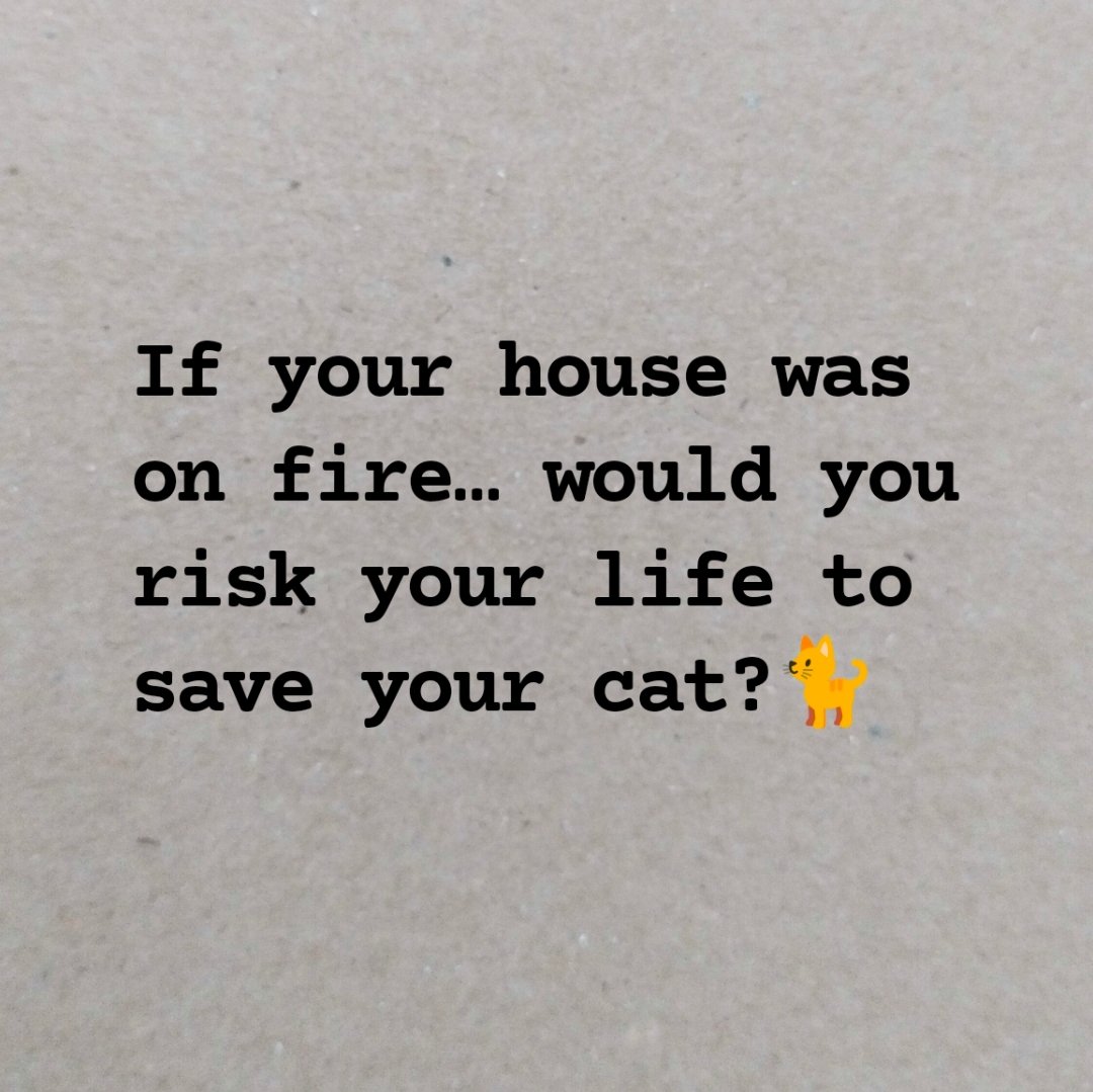 anxietymsgs's tweet image. 