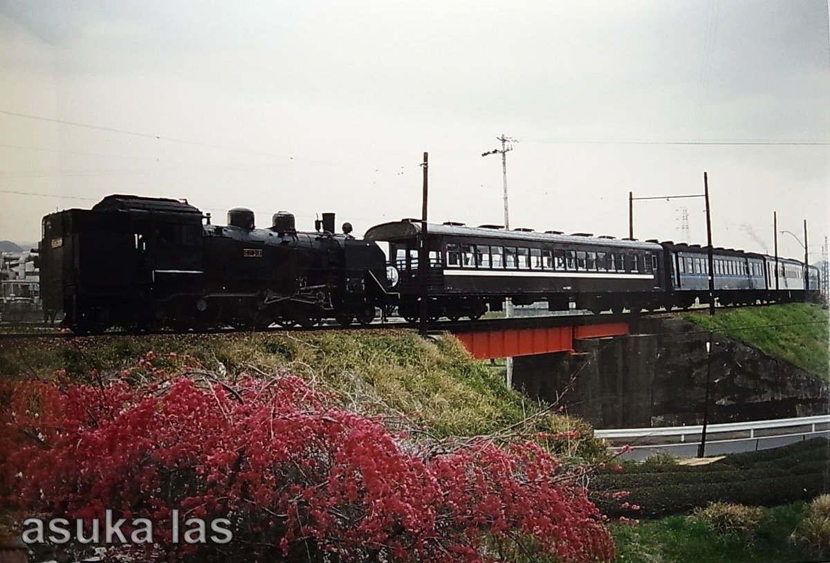 asukalas's tweet photo. #大井川鉄道
#大井川鐵道
#CanonF1
#フィルム写真
紅梅に見送られ
展望車、青帯車の追憶 https://t.co/4LCRaiLEqJ