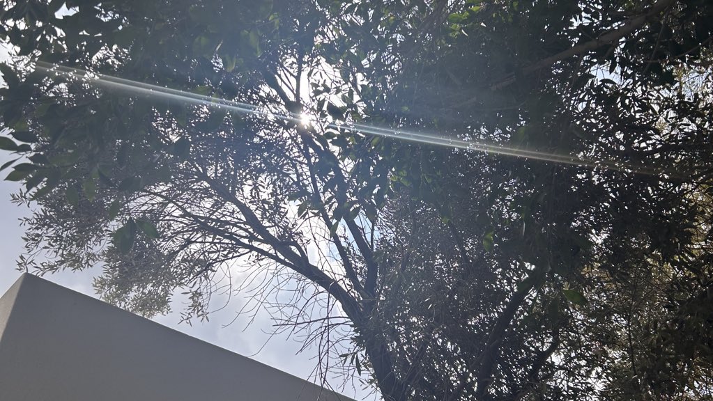 forget-me-not tweet media