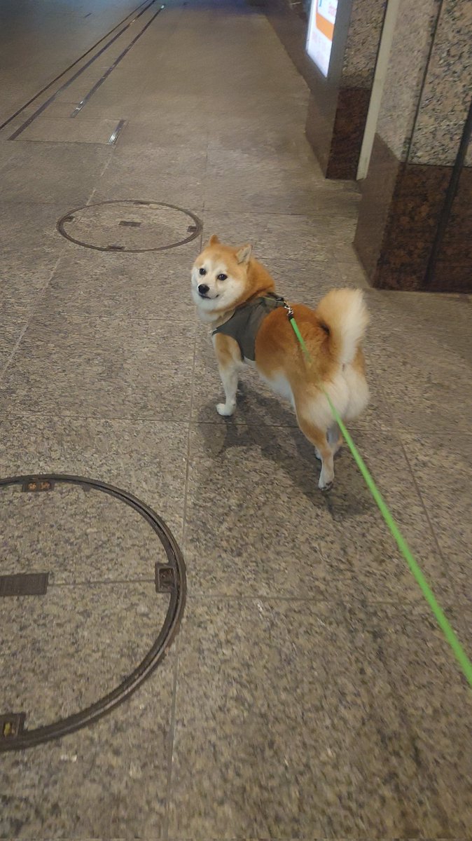 “おれについてこい”顔すぎる