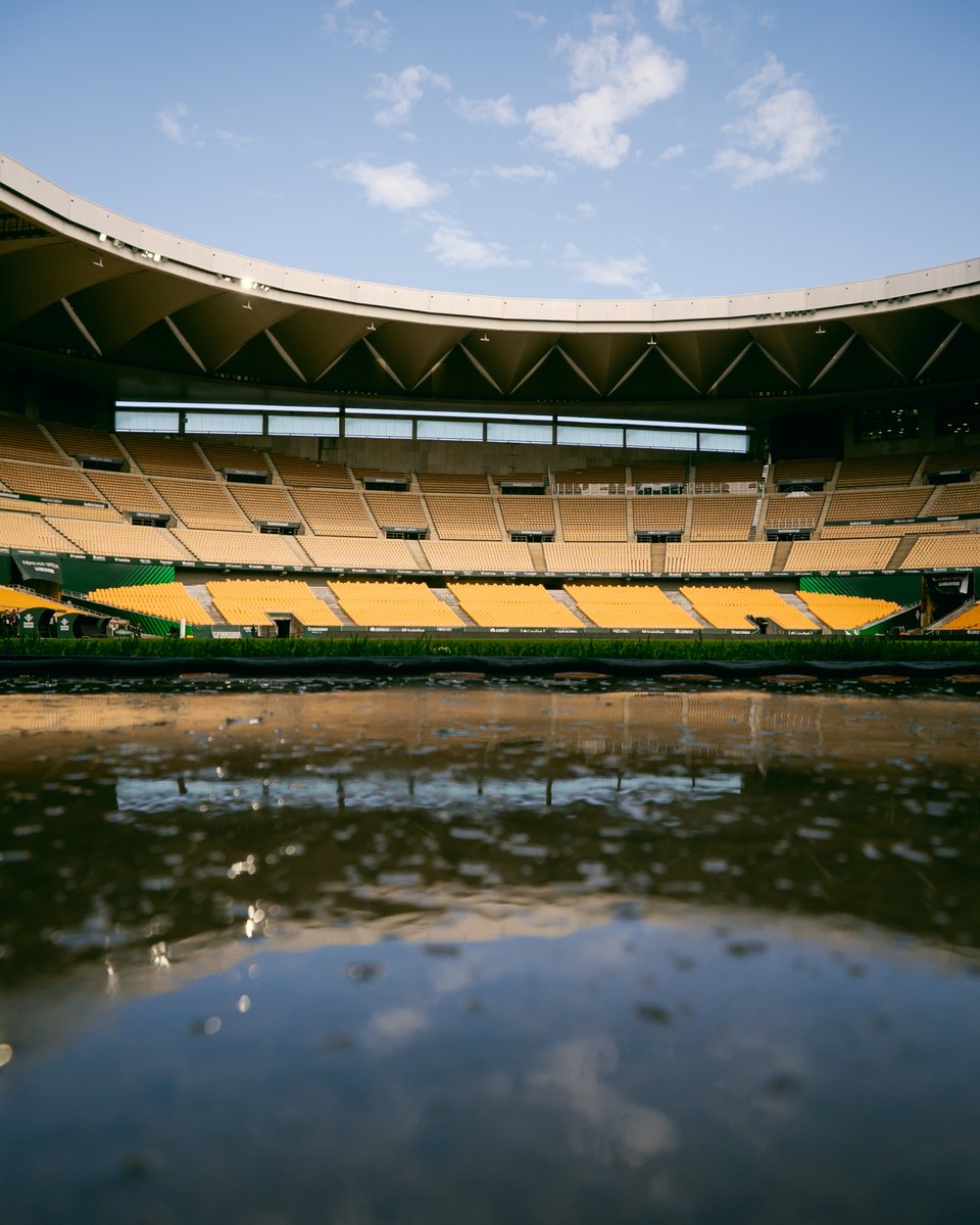 Real Betis Balompié tweet media