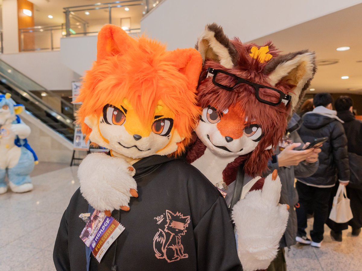 FLEET(ねこのすがた) tweet media