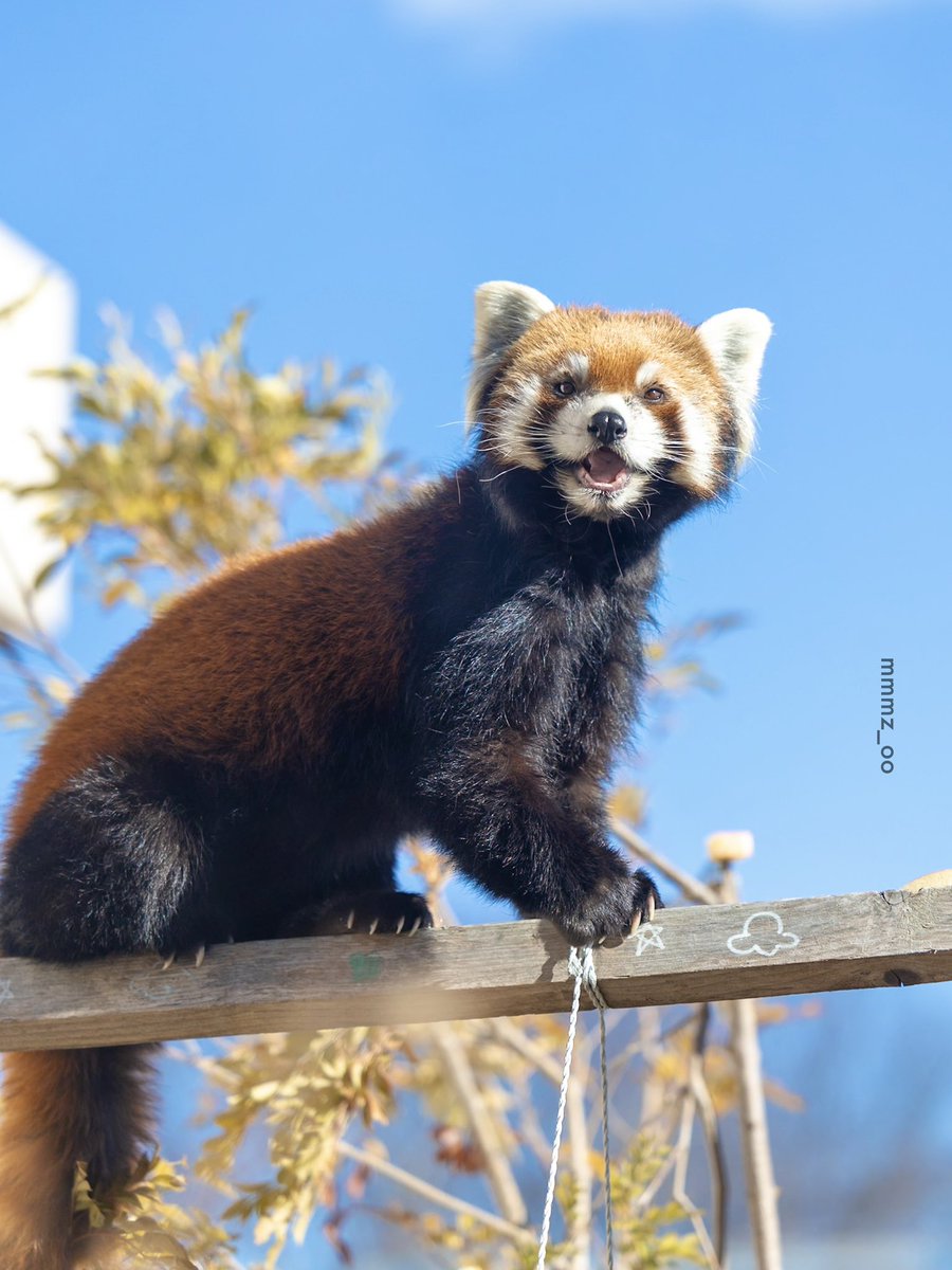 mmm（むむ） (@mmmz_oo) / Posts / X