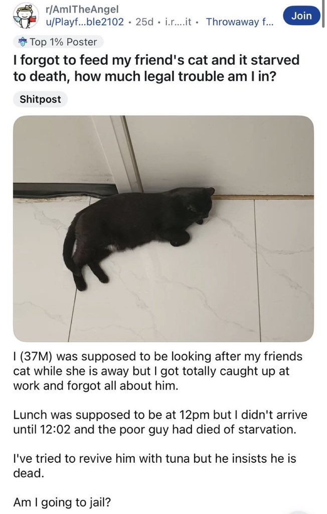 positive side of X 🌞 tweet media