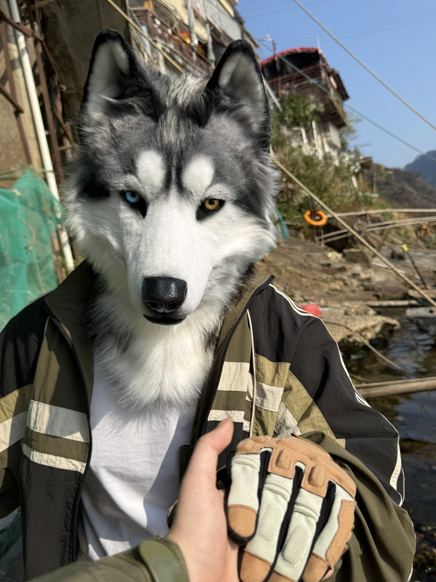 狗王🇺🇦 tweet media