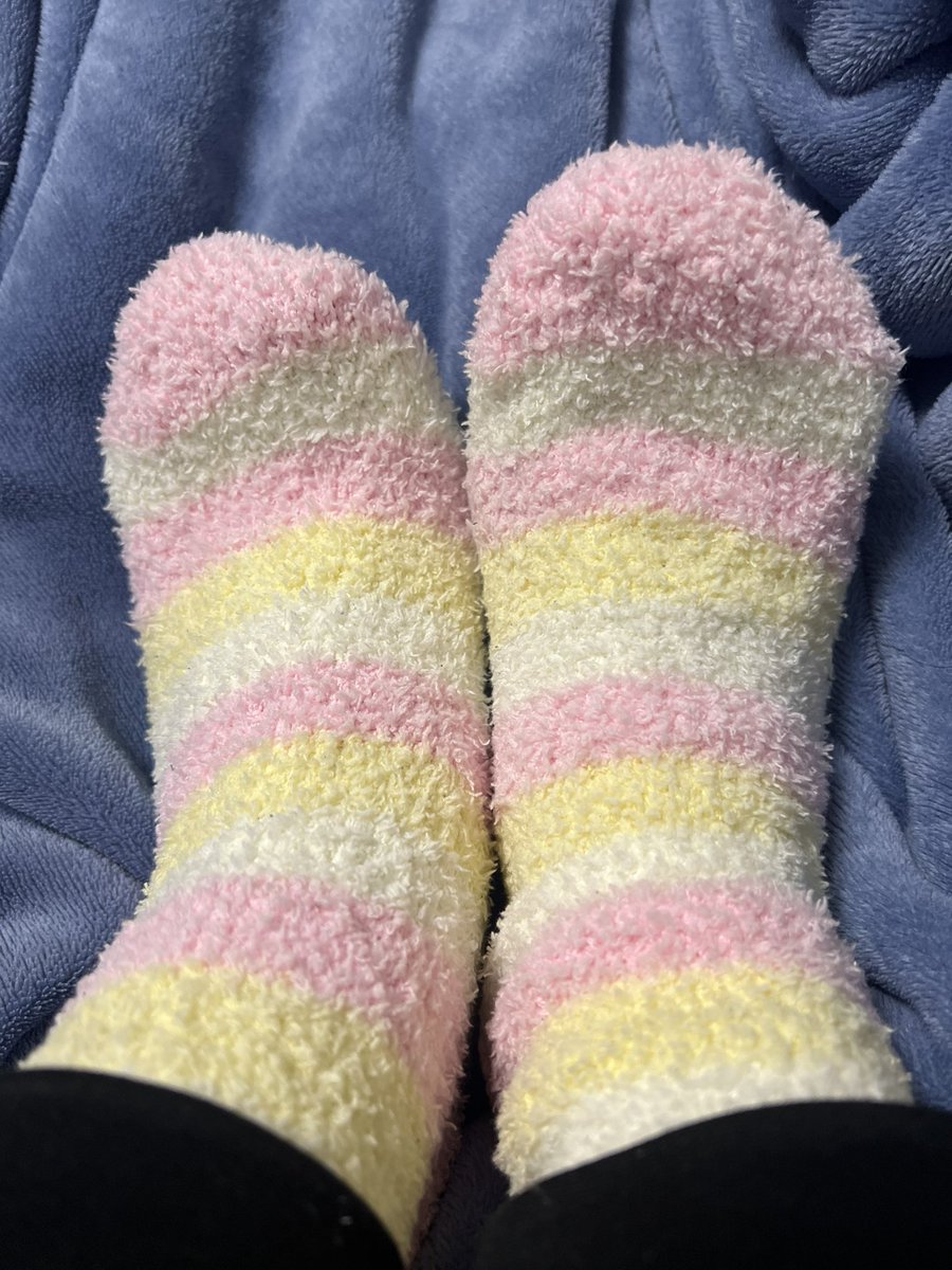 IBIS Kokin🍫 tweet media