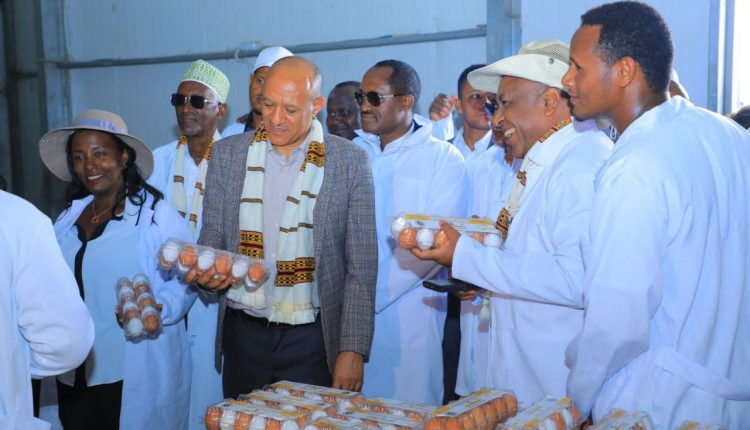 Temesgen Tiruneh - ተመስገን ጥሩነህ 🇪🇹 tweet media