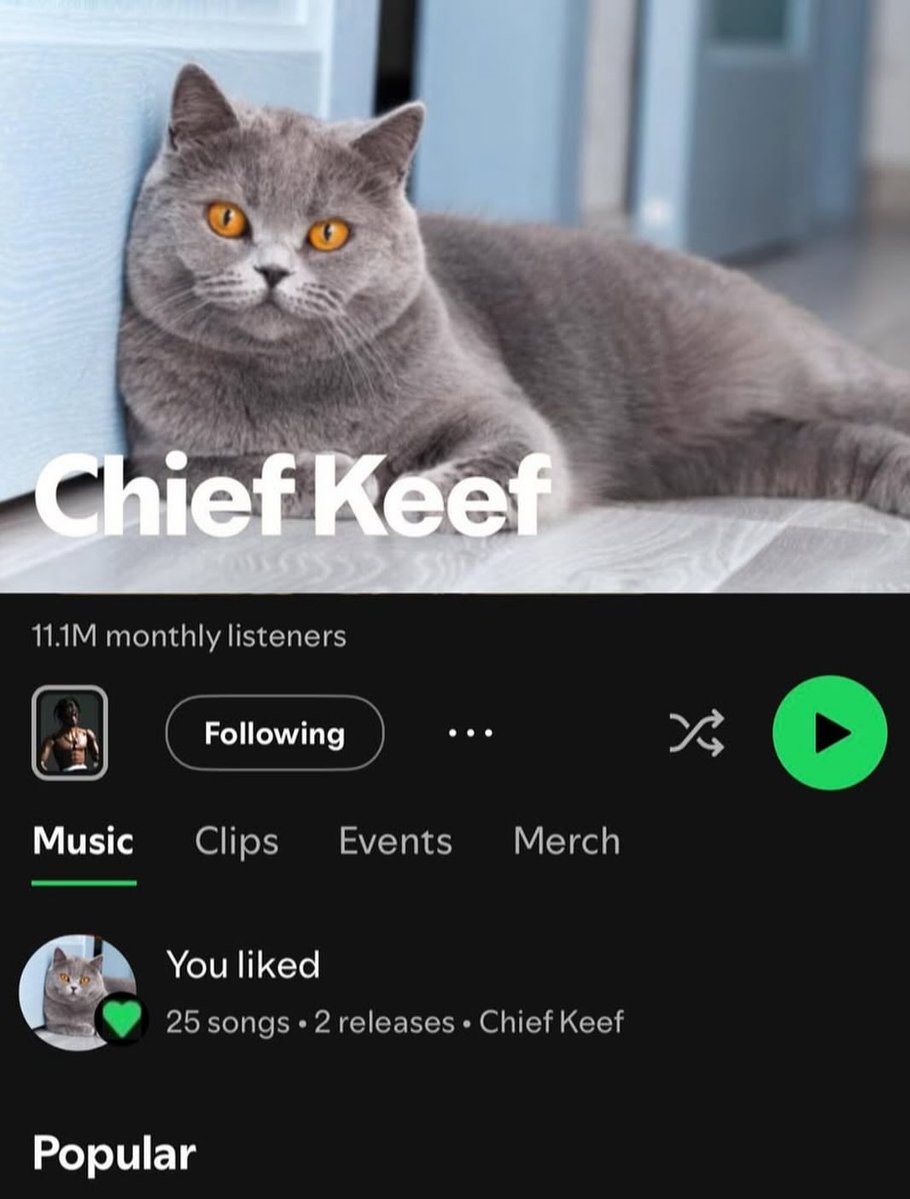 Bigsouptaco (@bigsouptaco) on Twitter photo 