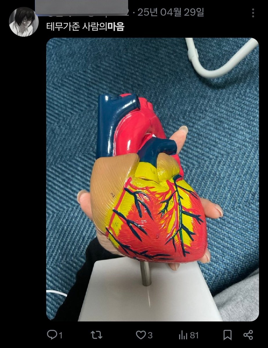 제가 ㅎㅅㅌㄹㅇ를 보기도전에,  이런트윗을썻더군요...
저는 심장에있다 쪽인가봅니다
