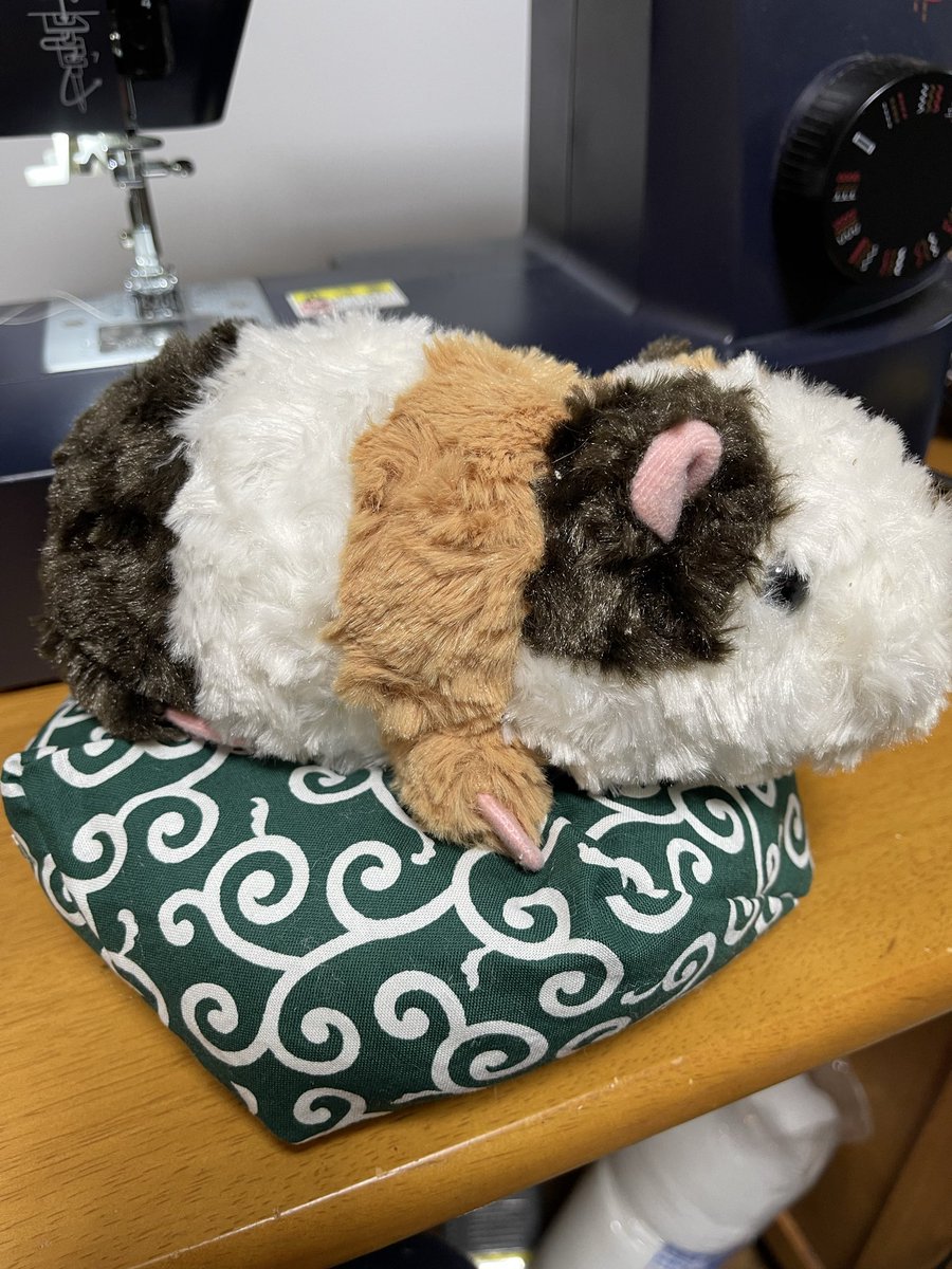 ミニミニクッション完成✨ 我が家のしろちゃんが大好きなホリホリ