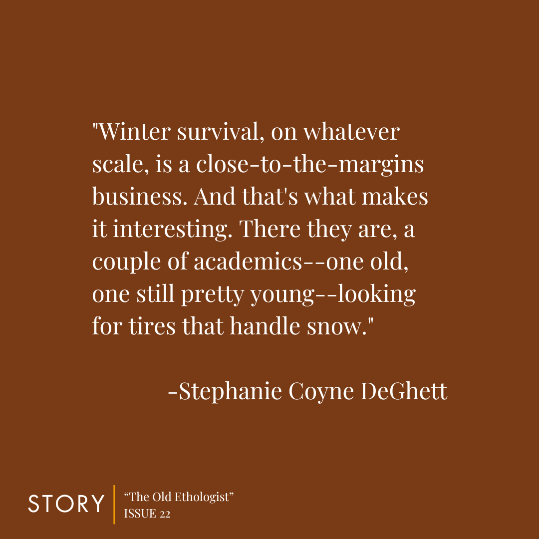 Story Literary Magazine tweet media