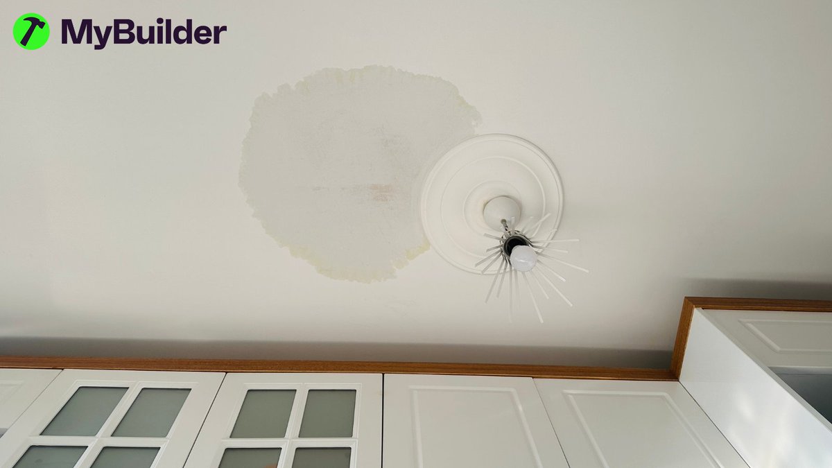 MyBuilder tweet media