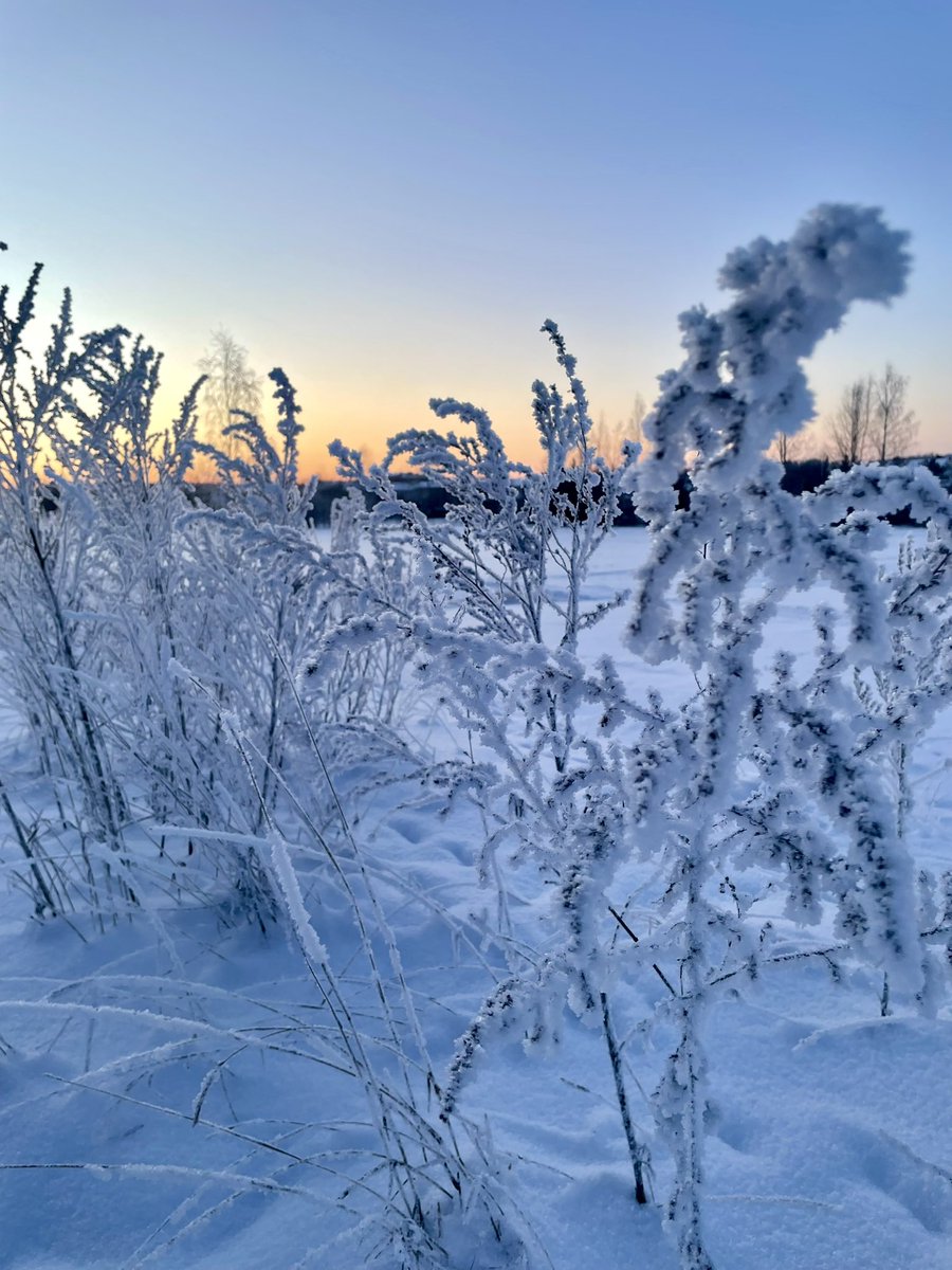 Tänään on kerrottavana erinomaisia energiauutisia. Valtio kasvattaa omistustaan strategisesti merkittävässä kantaverkkoyhtiö Fingridistä. Osakkeiden kauppahinta on yli 400 miljoonaa euroa.

Kriittinen infra on pidettävä omissa käsissä, ja kantaverkko jos mikä on kriittistä