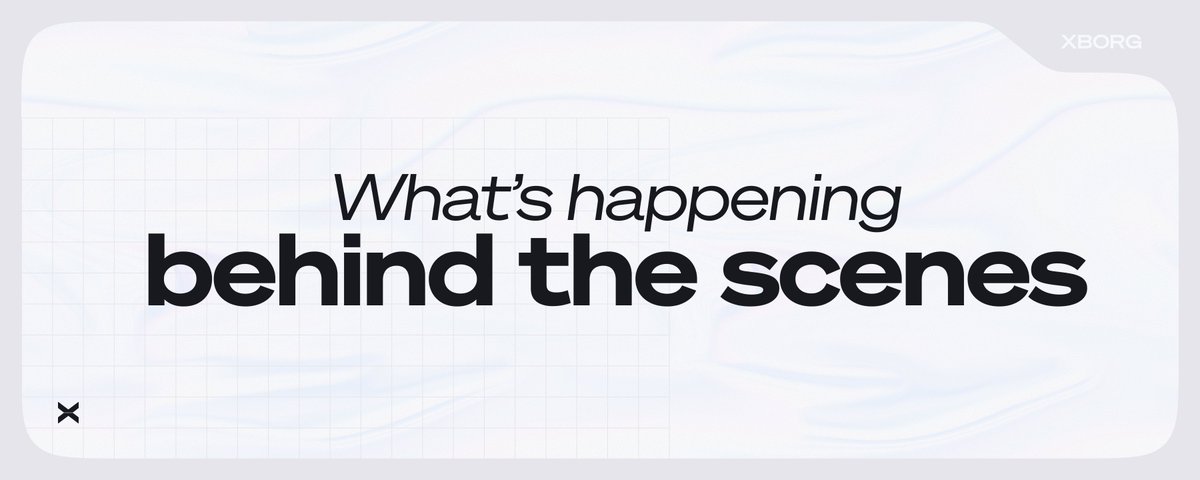 Notes from XBorg's COO