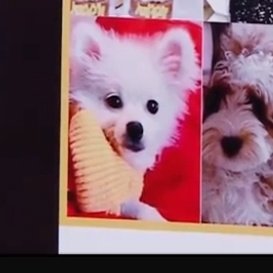 sunrabbit__'s tweet image. The dad is so shocked to see his son appear on weibo night😭😭😭
#DingYuxi