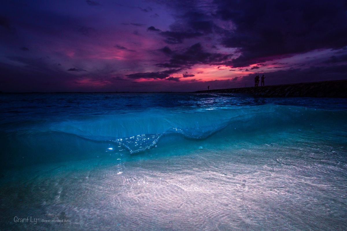 just violet mood tweet media