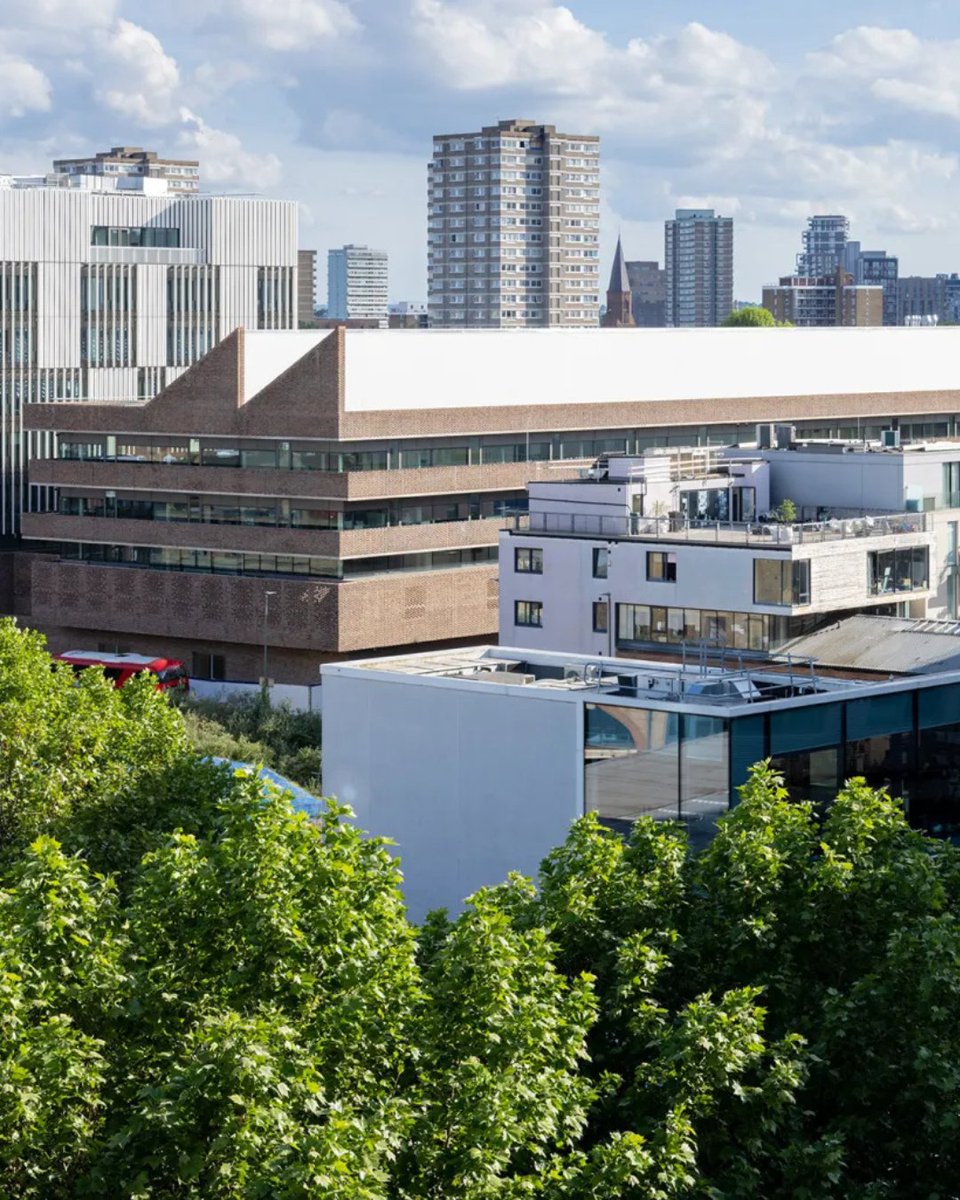 LDN Collective tweet media