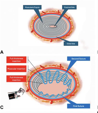 Prof. Dr. Fatih ASLAN tweet media