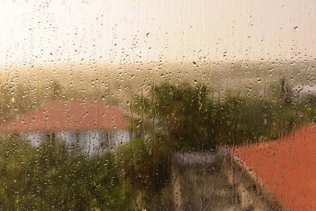 Portugal.com tweet media