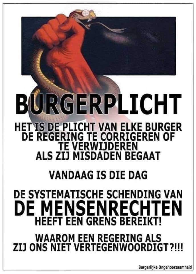Albert Cremer tweet media