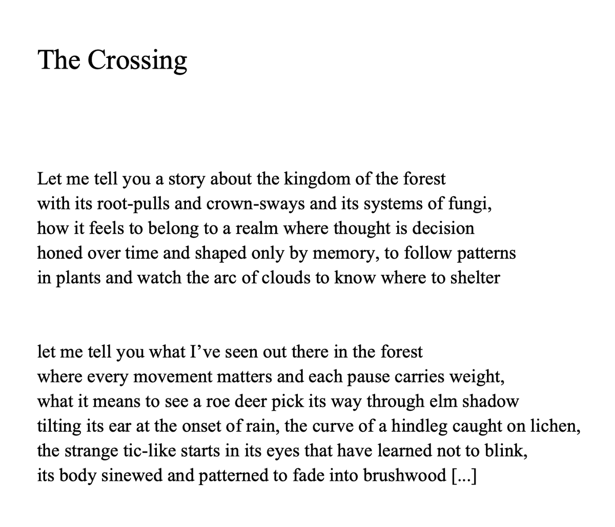 Daniel Carden Nemo tweet media