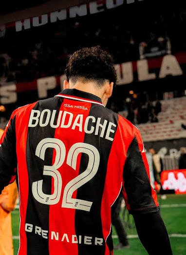 Renard Des surfaces tweet media